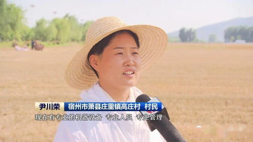 安徽 農機社會化服務助力夏收提速提質，技術推廣是關鍵