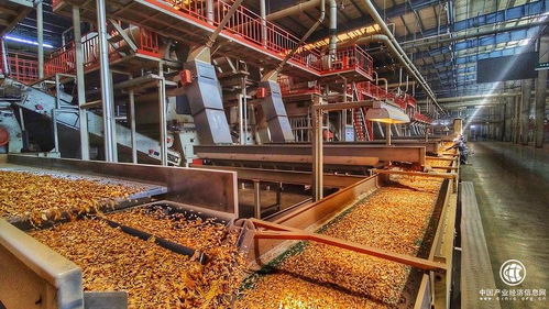 技術驅動創新，智慧賦能發展——云南煙葉復烤有限責任公司楚雄復烤廠2021烤季生產任務圓滿完成